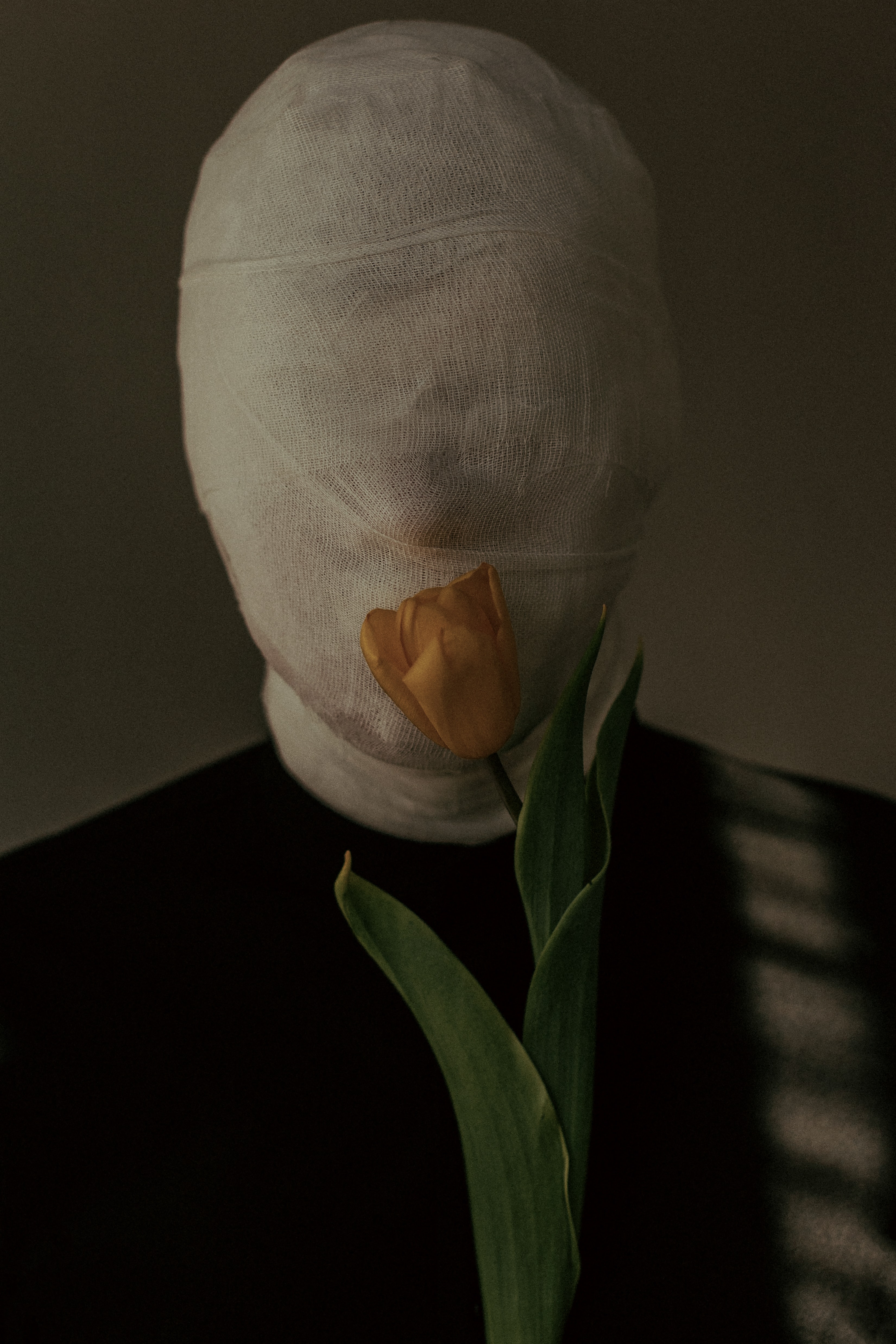 hidden man and a rose